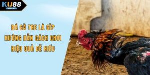Đá gà tre