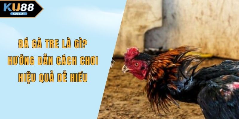 Đá gà tre