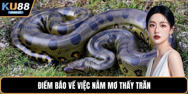Điềm báo về việc nằm mơ thấy trăn