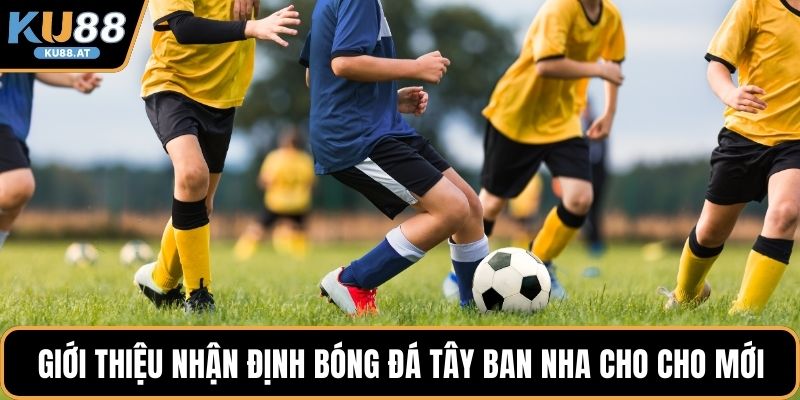 Giới thiệu nhận định bóng đá Tây Ban Nha cho cho mới