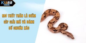 Mơ thấy trăn