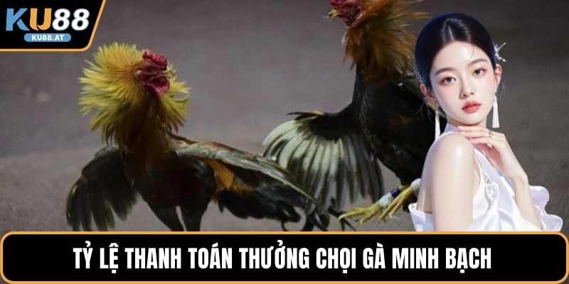 Tỷ lệ thanh toán thưởng chọi gà minh bạch